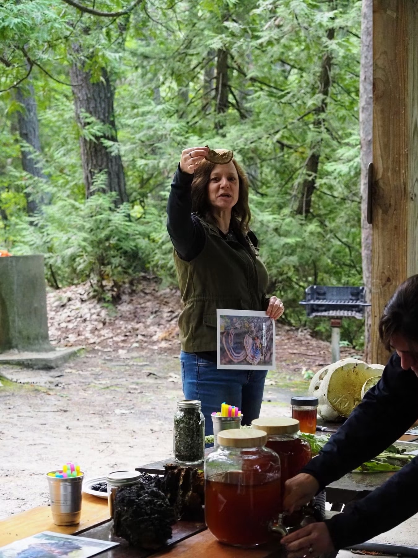 Wild edible plants and foraged harvest